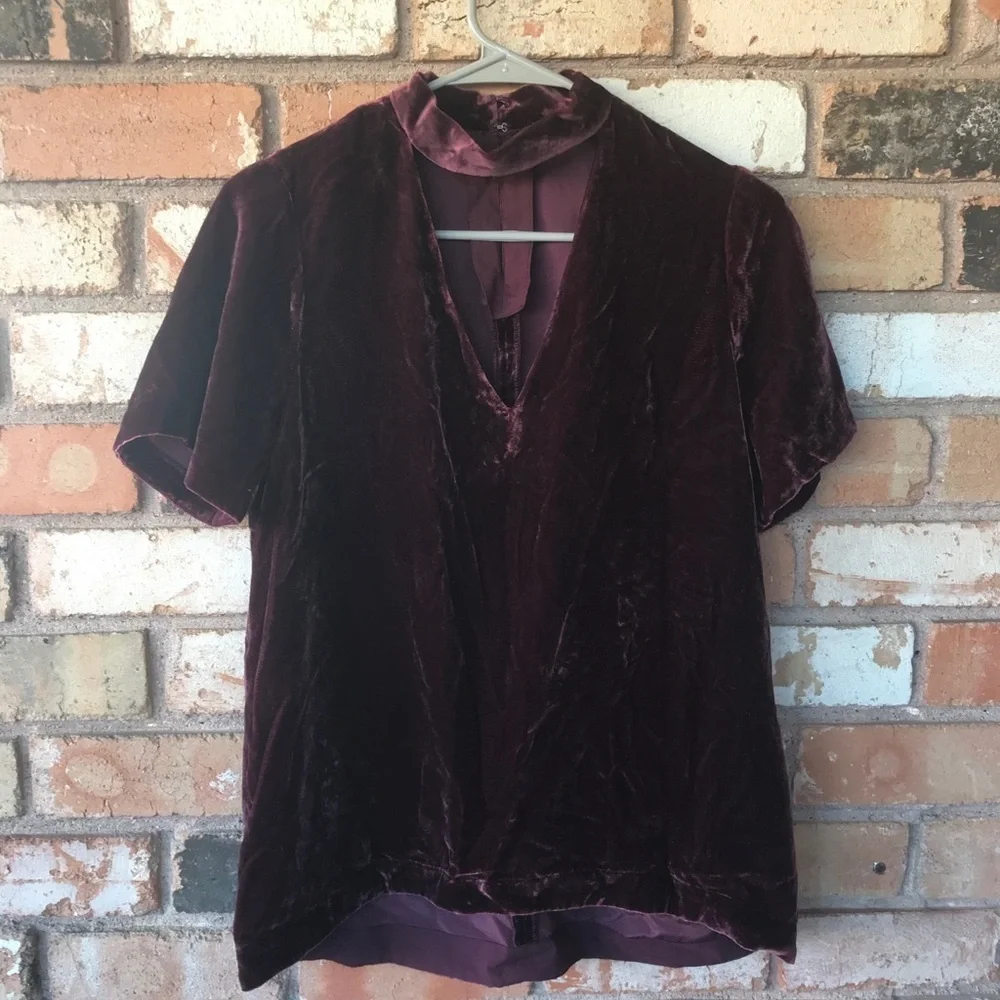 Madewell Choker Velvet Short Sleeve Top_9